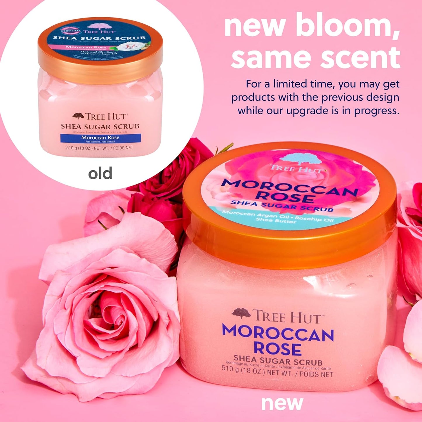 Tree Hut Moroccan Rose Shear Sugar Scrub