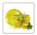 Soy wax Bergamot scented candle NOVARA KE