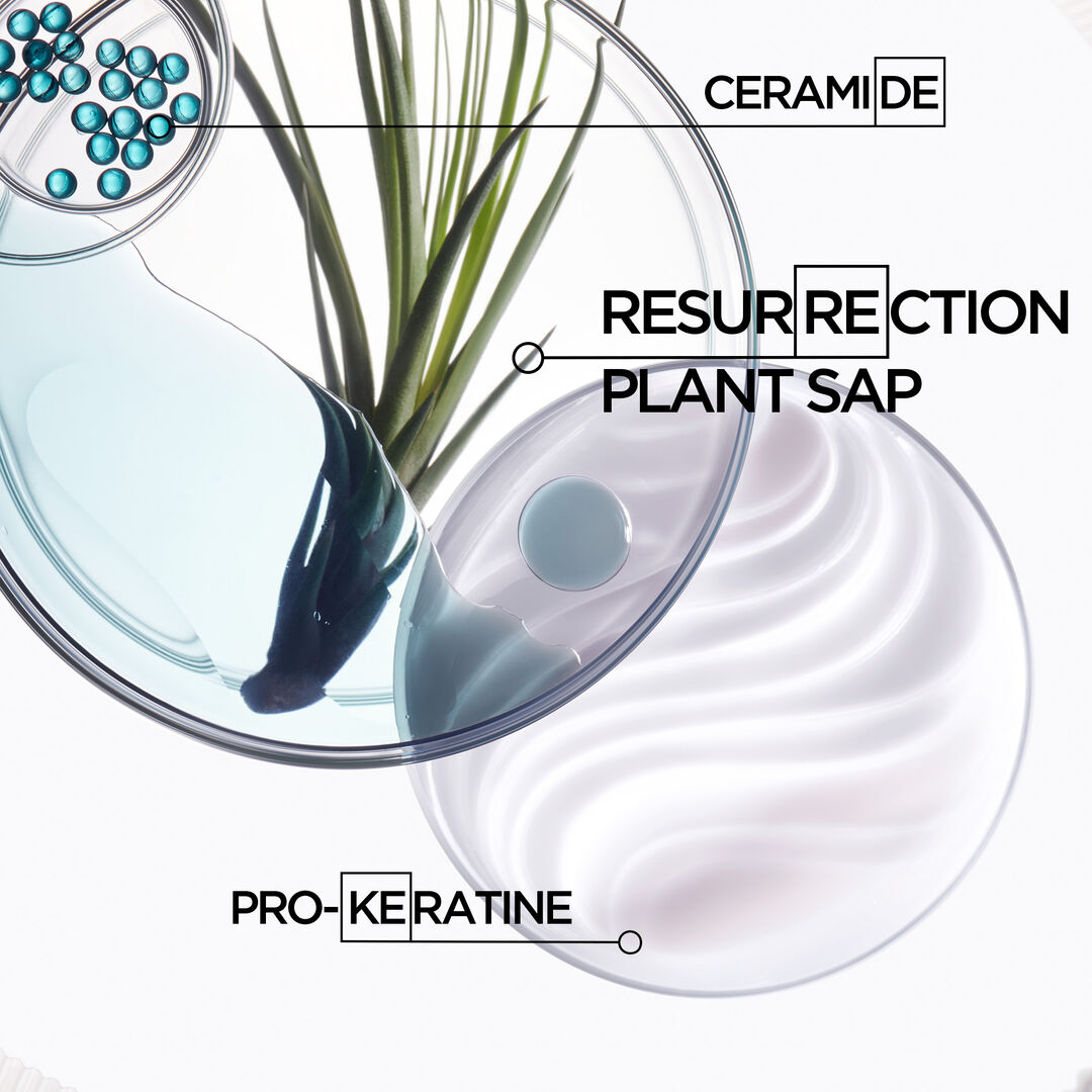Resistance :Bain Force Architecte Shampoo