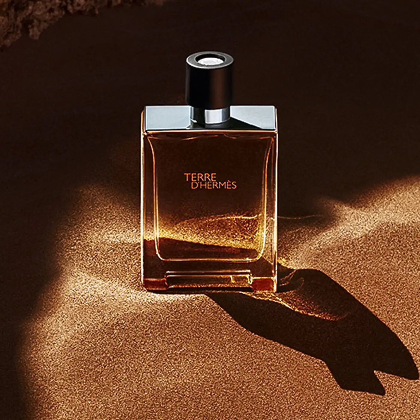 Terre D’Hermès Eau de Toilette