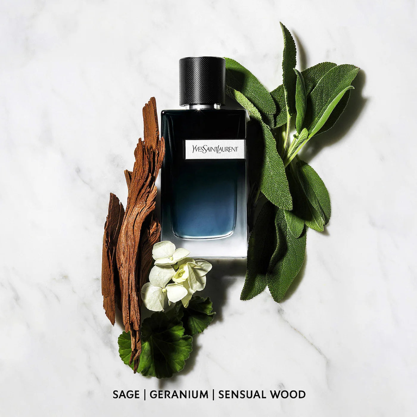 Y Eau de Parfum Men's Cologne