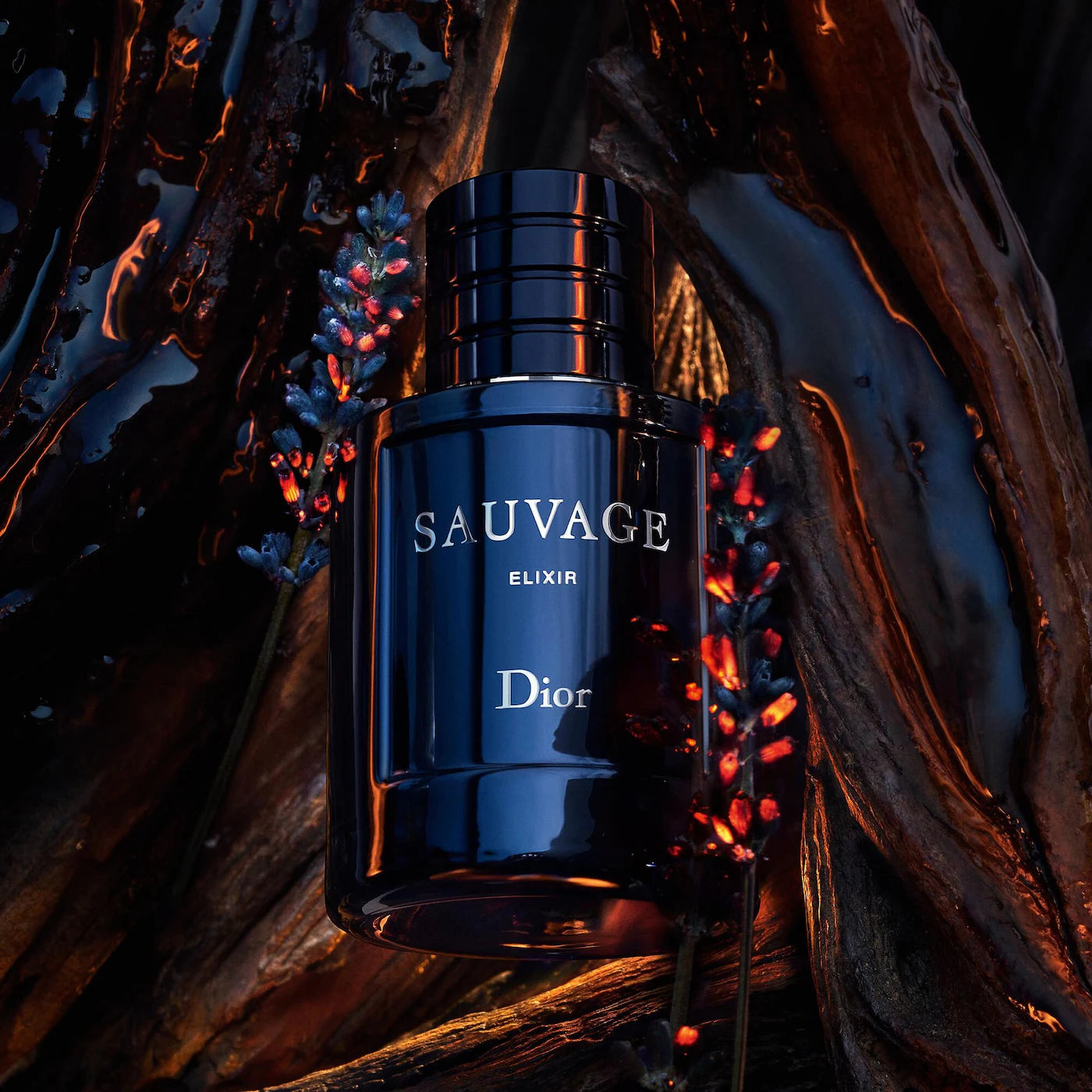 Sauvage Elixir Fragrance