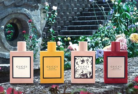 Gucci-Fragrances-A-Symphony-of-Elegance-and-Modernity NOVARA KE