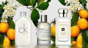 Unisex Fragrances