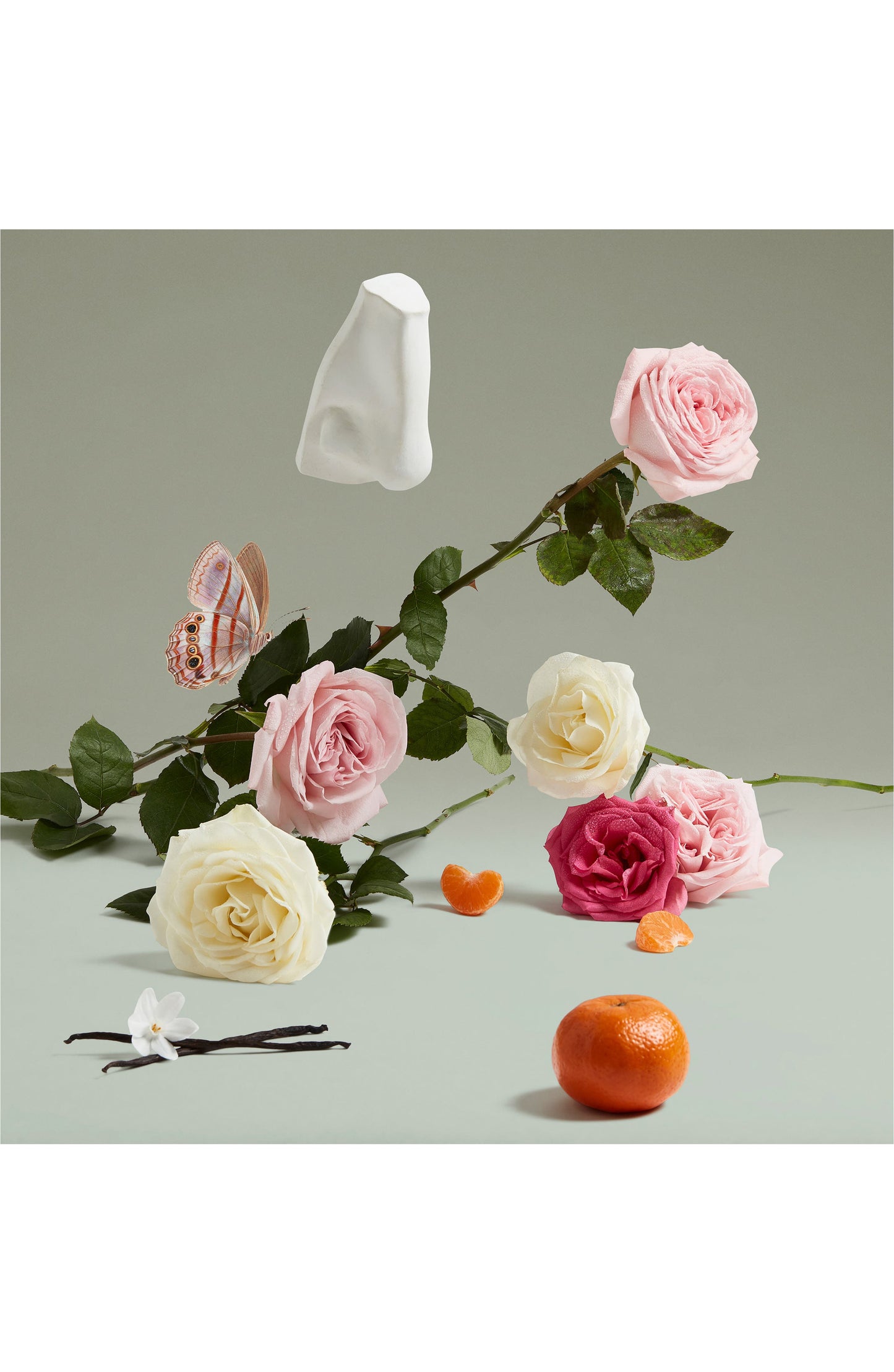 Coveted Duchess Rose Eau de Parfum